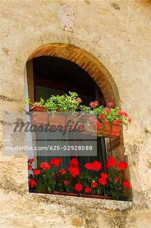 Boîtes de fenêtre sur la fenêtre d'une maison, la Province de Sienne, Toscane, Italie