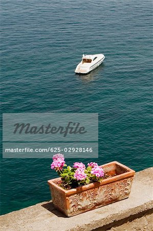 Potted plant at seaside with a tourboat in the background, Bay of Naples, Sorrento, Sorrentine Peninsula, Naples Province, Campania, Italy