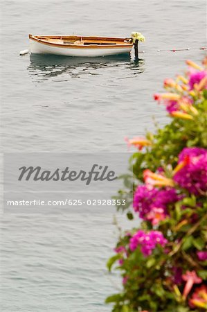 High angle view of a rowboat, Costiera Amalfitana, Salerno, Campania, Italy