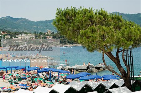 Vue grand angle de parasols sur la plage, Riviera italienne, Santa Margherita Ligure, Gênes, Ligurie, Italie