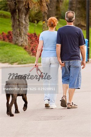 Vue arrière de la marche un couple avec leur animal de compagnie, Promenade Des Anglais, Nice, Provence-Alpes-Cote d'Azur, France