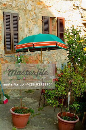 Potted plants in lawn, San Gimignano, Siena Province, Tuscany, Italy