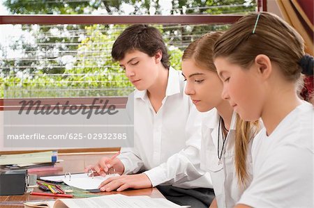 Two schoolgirls and a schoolboy studying in a classroom