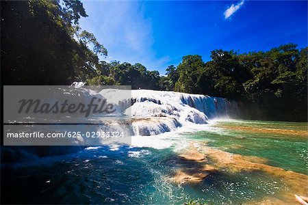 Chute d'eau dans une forêt, cascades de Agua Azul, Chiapas, Mexique