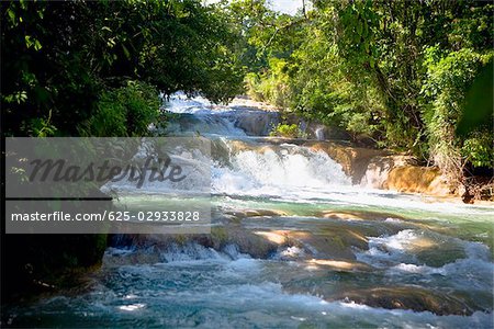 Chute d'eau dans une forêt, cascades de Agua Azul, Chiapas, Mexique