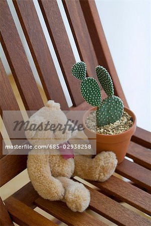 Plante en pot de cactus et peluche sur chaise