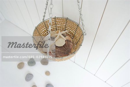 Shells in basket