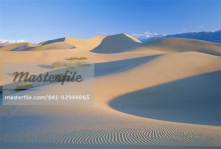 Sand dunes, Death Valley National Monument, California, United States of America