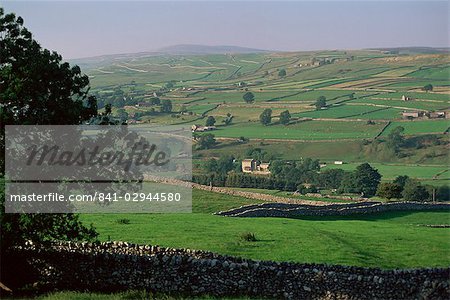 Threapland towards Linton Moor, Yorkshire, England, United Kingdom, Europe