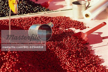 Close-up of market stall selling cranberries,