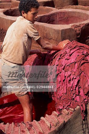 Young man dyeing leather, Medina, Fes, Morocco, North Africa, Africa