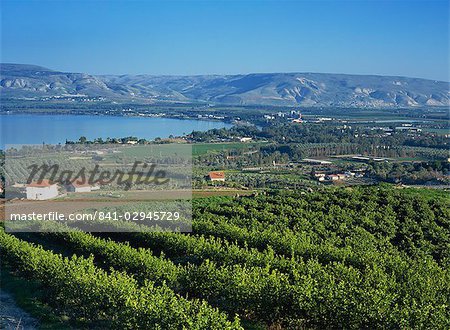 Vue sur la mer de Galilée, Zemakh région, Israël, Moyen-Orient