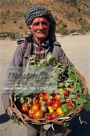 Kurdish man with tomatoes for sale, Kurdistan, Anatolia, Turkey, Asia Minor, Eurasia