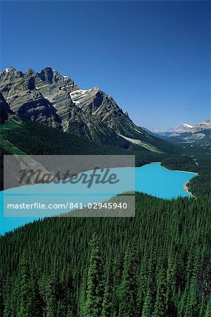 Peyto Lake, Parc National Banff, UNESCO World Heritage Site, Alberta, Rocheuses, Canada, Amérique du Nord