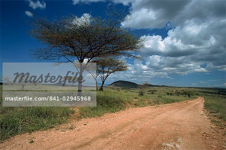 Dirt track road et acacia arbres, Baragoi, Kenya, Afrique de l'est, Afrique
