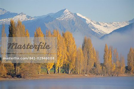 Automnales arbres à côté de lac Wanaka, Otago, South Island, Nouvelle-Zélande