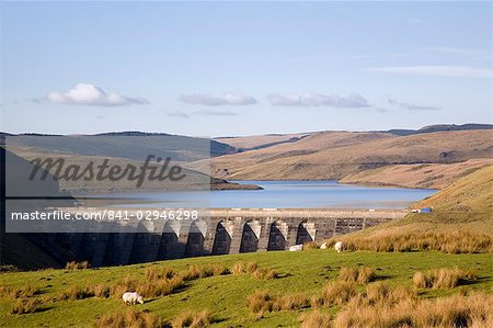 Scenic view of Llyn Nant-y-moch reservoir and dam with grazing sheep in winter, Ponterwyd, Ceredigion, Dyfed, Wales, United Kingdom, Europe
