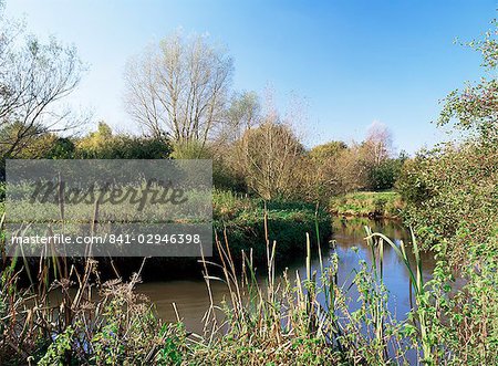 Fleuve Blackwater, forme la limite de la réserve naturelle des lacs vert de Moor et la bordure du Hampshire et Berkshire, Finchamstead, Berkshire, Angleterre, Royaume-Uni, Europe