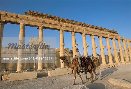 Garçon à dos de chameau en face de la grande colonnade, Palmyre, UNESCO World Heritage Site, Syrie, Moyen-Orient