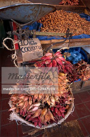 Tequila Früchte für den Verkauf auf einem Stall in Mexiko, Nordamerika