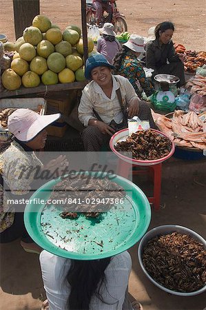 Verkauf gekochte Grillen im Markt, Indochina, Kambodscha, Asien, Südostasien