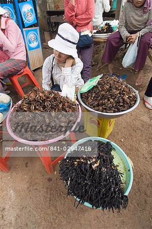Cuire les grillons et les araignées pour manger au marché, au Cambodge, Indochine, Asie du sud-est, Asie