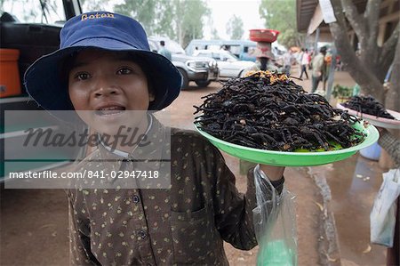 Cooked spiders for eating in market, Cambodia, Indochina, Southeast Asia, Asia