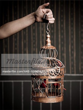 hand holding a birdcage