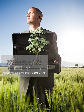 Unternehmer eine Aktentasche mit einem Baum in ihr holding