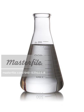 erlenmeyer flask full of liquid