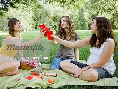 drei junge Frauen mit einem Picknick auf dem Rasen in einem park