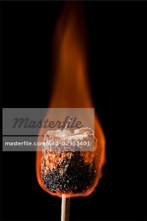 marshmallow burning on a stick
