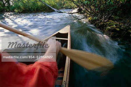 Personne, canoë-kayak en été SC Campbell Creek en Alaska