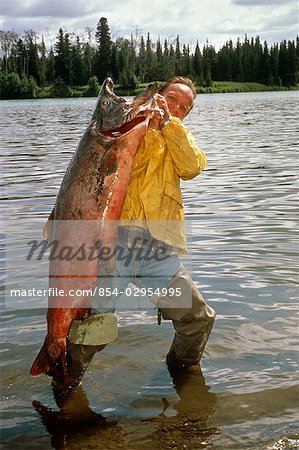 Fisherman Holding 76lb King Salmon Moose River KP Alaska