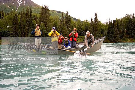 Woman battling trout on Kenai River from drift boat Kenai Peninsula Alaska Summer