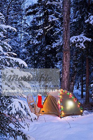 A tent is set up in the woods with Christmas lights and stocking near Anchorage, Alaska
