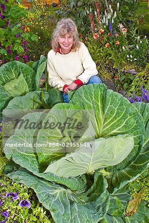Woman poses with giant cabbages in the Matanuska Valley. Summer in Southcental Alaska.