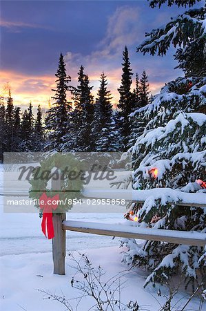 Couronne de vacances accroché à côté de dédoubler-rail fence décoré arbre w/coucher du soleil hiver Alaska Anchorage