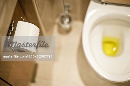 Urine in Toilet