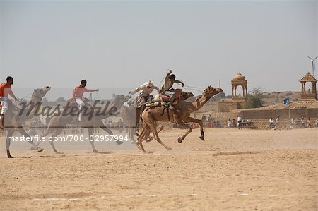 Kamel-Festival, Jaisalmer, Rajasthan, Indien