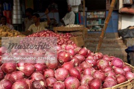 Neuer Markt, Kolkata, Westbengalen