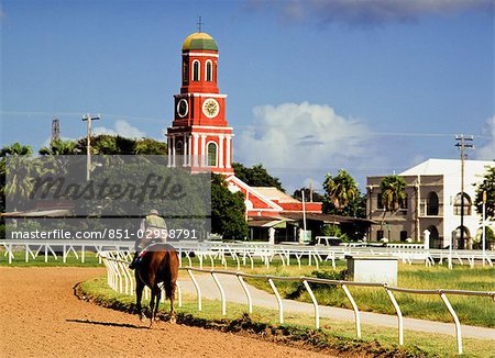 Early morning on the garrison savannah,Bridgetown,Barbados