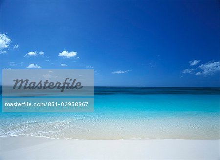 Face à la mer de la côte ouest de Barbuda. Face à la mer de la côte ouest de Barbuda.