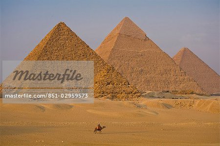 Hommes sur des chameaux à côté des pyramides, Gizeh, le Caire, Egypte