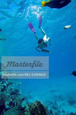 Femme plongée dans la mer rouge, l'île de Giftun, Hurghada, Égypte Femme plongée dans la mer rouge, l'île de Giftun, Hurghada, Égypte