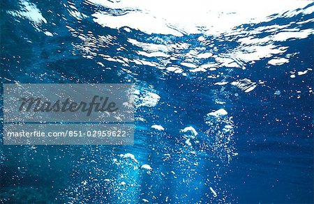 Cloud of bubbles,Red Sea,Egypt