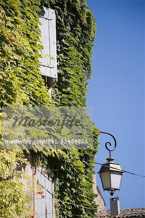 Efeu an der Ecke des Gebäudes, Bonnieux, Vaucluse, Provence, Frankreich