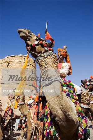 Camel riding homme au festival de Jaisalmer, Rajasthan, Inde