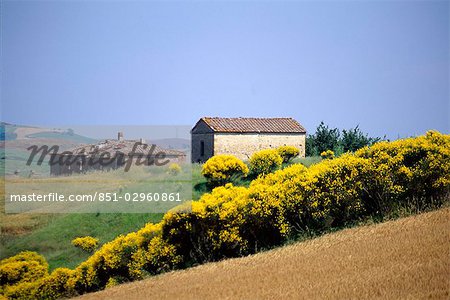 Creti Senesi, Toscane, Italie