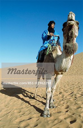 Berbère camelier, Dunes de Tinfou, vallée du Draa, sud du Maroc Berbère camelier, Dunes de Tinfou, vallée du Draa, sud du Maroc